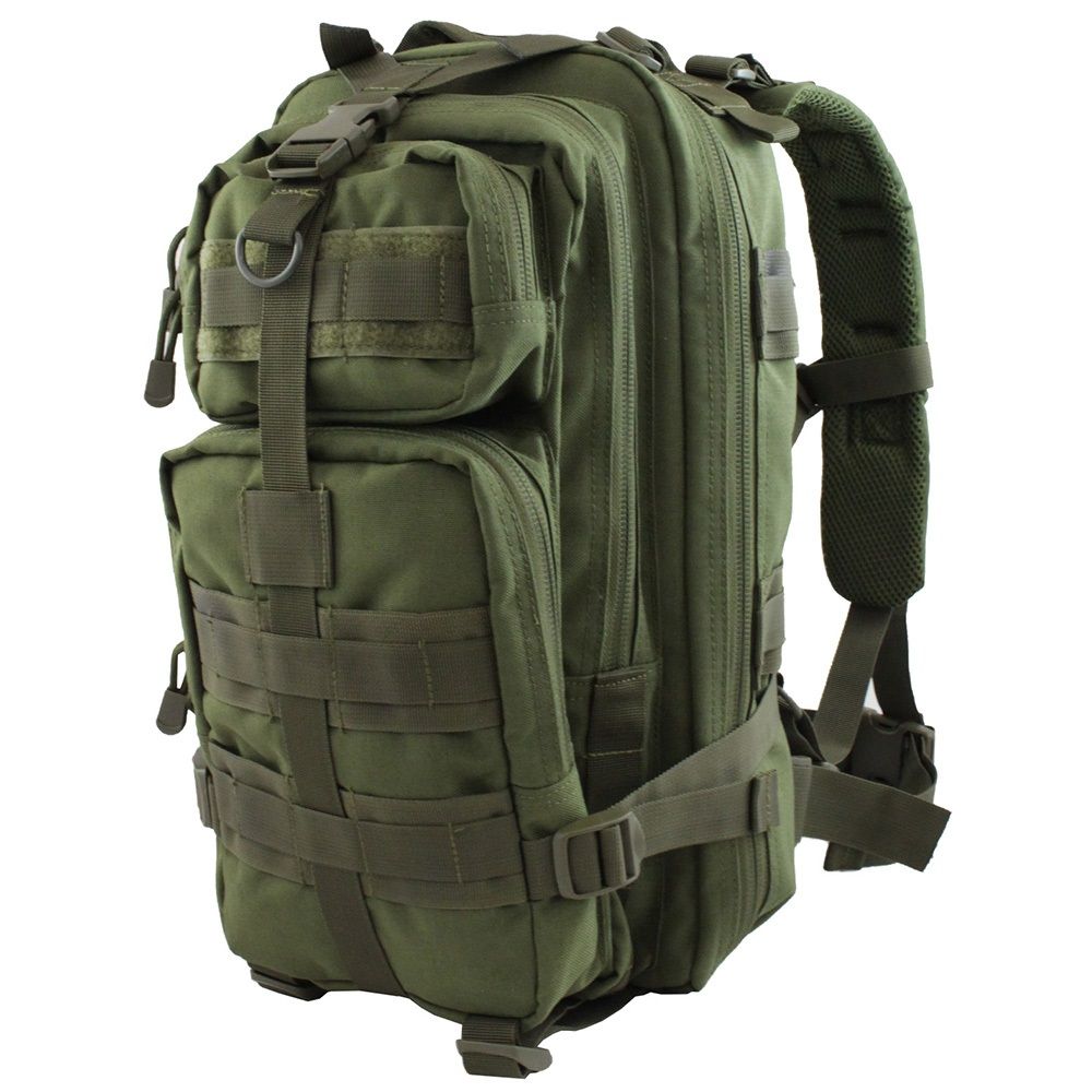 Raven X MOLLE Small Assault Backpack | Camouflage.ca